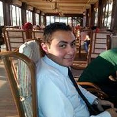 Mahmoud Ahmed Saber