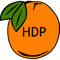 HDP Records