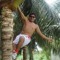 Djluis Master Mix