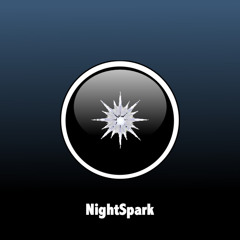 NightSpark951