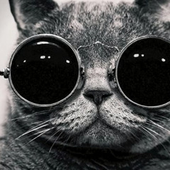 To-ToÏ (Nicolas Basse)