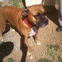 John Joseph Oliver III