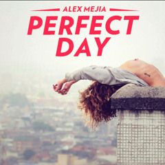perfectdayproject