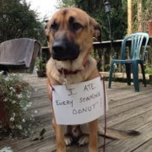 Stream Kent Lamb music Listen to songs, albums, playlists for free on