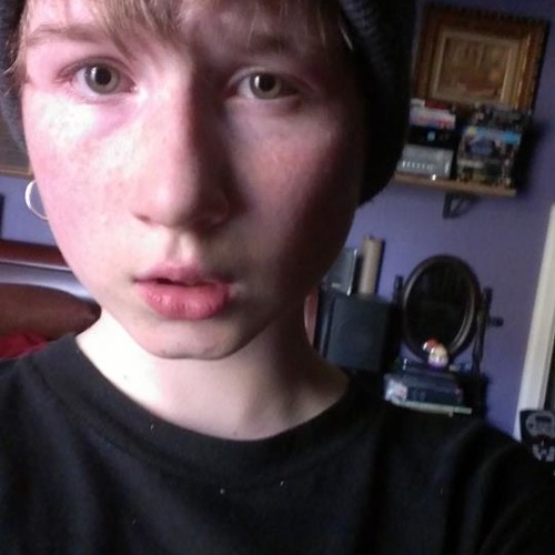 BIRDS IN ROW - A Kid Called Dreamer