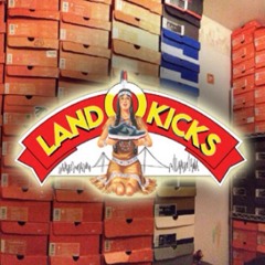 LandOKicks