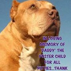 Dawn Gordon-Ballesteros