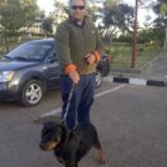 Bassam Samir El Sayed