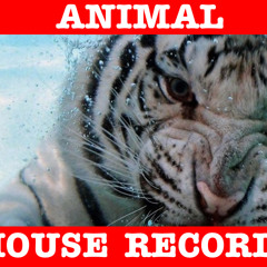AnimalHouseRecords