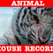 AnimalHouseRecords