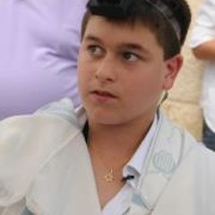 Nadav Zur