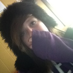 alesana-curse of the virgin canvas