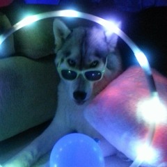 flipsyd3