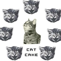 Cat Cake