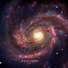 Smithsonian Astrophysical