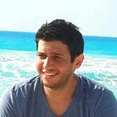 Ahmed Abdel Rehim Mansour