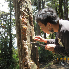 Momonon_Kopi Hitam
