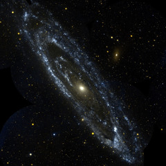 Imteaz (Bengalensis)