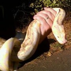 Jenny Padilla Serrano