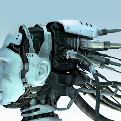 THE ROBOTICKS