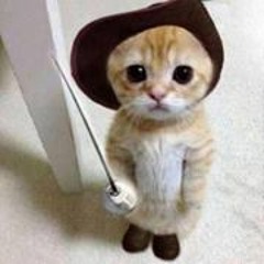Sandy Peebles