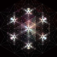 Kollektiv:Mischkonsum