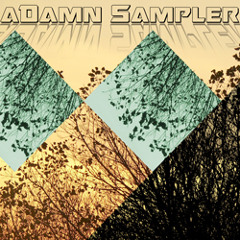 aDamn Sampler