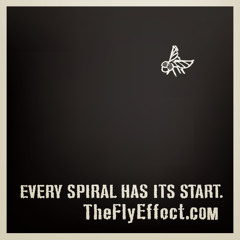 There Was a Young Man Who Swallowed a Fly