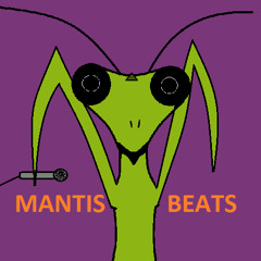 Mantis BeatS