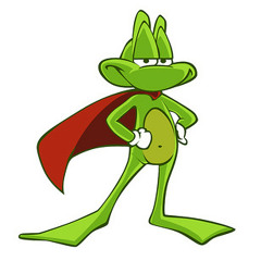 zocca