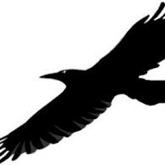 The Raven .