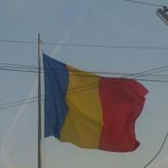 catalin_wilddj