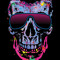 SkullyBrainz