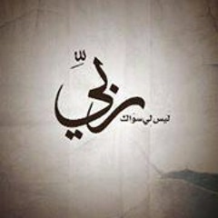HASSAN ELTAYEB