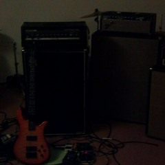Seed (guitar)
