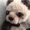 TEDBEAR