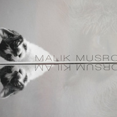 Malik Musroom