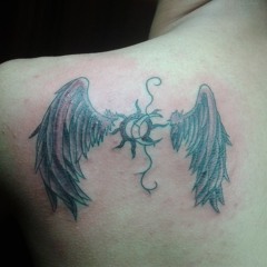 zhizhi01@hotmail.com