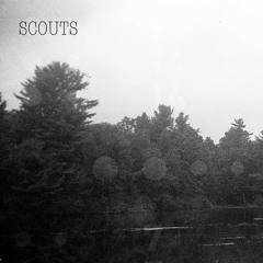 SCOUTSnyc