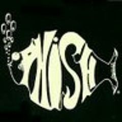 sts9