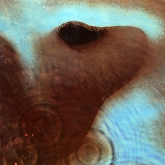 Pink Floyd Listener