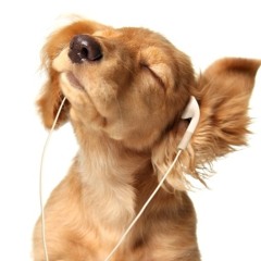 Soundtracks