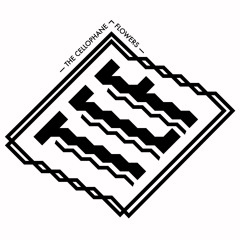 The Cellophane Flowers