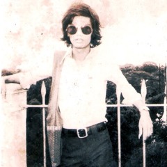 Doney MP