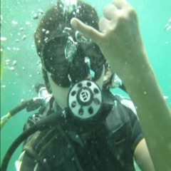 donna atlantic_lights