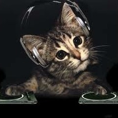 Radio edit