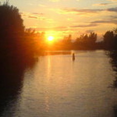 janne