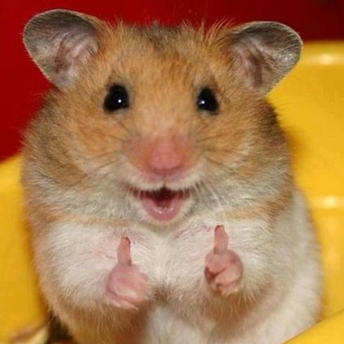 TeChno 5 techno pure