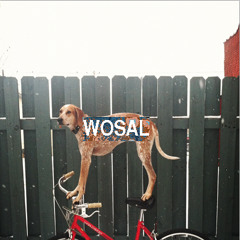 W̸O̷S̸A̶L̴