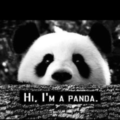 x4Panda2Man0x